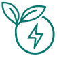 Renewable Energy